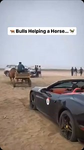 14K views · 38 reactions | Some say this is why Lamborghini is better... 藍 Via: @motorbeam | Supercar Fails | Facebook