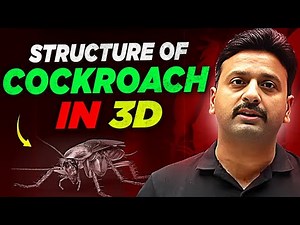 Cockroach का ऐसा 3D Model कभी नहीं देखा होगा Zoology 3D Model | By Sujit Sir | Pw