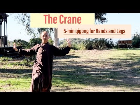 The Crane | 5-Minute Qigong Stretching HANDS, LEGS to RELAX and HEAL