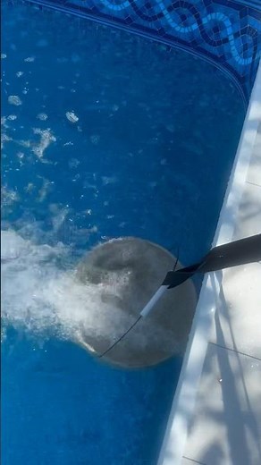 How to add salt to your pool #pool #saltwater