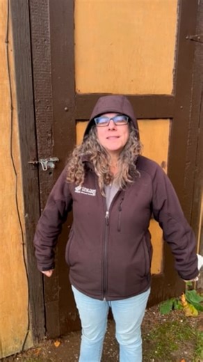 UPLOADTO-VIMEO-DOG-VIDEO-2025