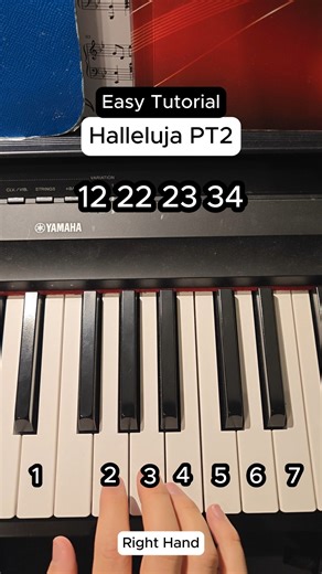 Pianotutorials | Easy Covers on Instagram: "Halleluja Part 2 Piano Tutorial #piano #pianotutorial #halleluja"