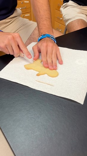 1.1K views · 14 reactions | Advanced Biology students are learning the terminology of anatomical directions of the human body by making “surgical cuts” on gingerbread men. (And sampling them of course!) #wearecovenant | The Covenant School, Charlottesville, VA | Facebook