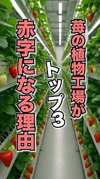 いちごの植物工場が赤字になる理由トップ3 #いちご農家 #植物工場 #新規就農