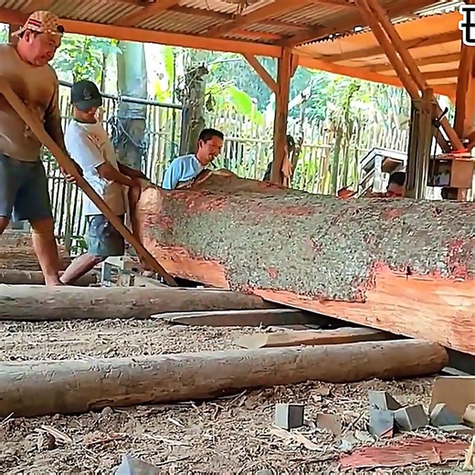 888K views · 7.3K reactions | At the sawmill, workers carefully cut red shingle wood into sturdy boards used for house construction. Each piece is precisely processed to ensure strength, durability, and natural beauty, making it ideal for solid wood structures and fine carpentry projects. | Herox7 | Facebook