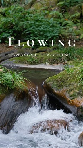 Echo of Nature | A small moment to slow down #NatureASMR