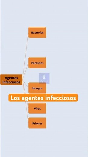 This is the classification of infectious agents #microbiology #short