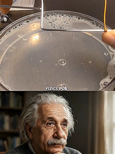 Sigma Physics Teacher Explained 🧪🗿