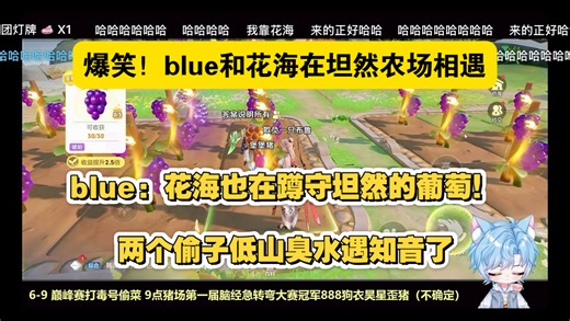 【BLUE猪】blue和花海在坦然农场相遇 一起蹲守坦然的葡萄！