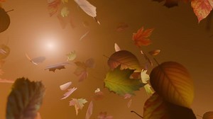 Download Dramatic Fall Season Scene with Autumn Leaves, 3D Animation with Spotlight Effect, seamless loop for free