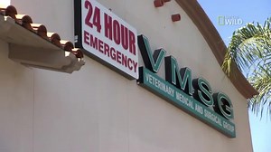 804K views · 18K reactions | Do you have an overexcited dog? You don't want to miss the tips in an all-new #Cesar911 ep. First-aired March 13 on Nat Geo Wild! | Cesar Millan | Facebook