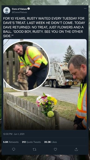 Celebrating Rusty: 10 Years of Unconditional Love 🐶❤️ #DogStory #PetMoments #Heart #ViralShorts