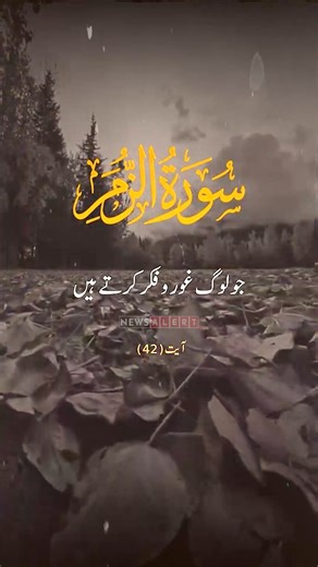 11M views · 1M reactions | #NewsAlert | News Alert | Facebook