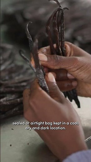 How to Store Vanilla Beans Properly | Rodelle Tips