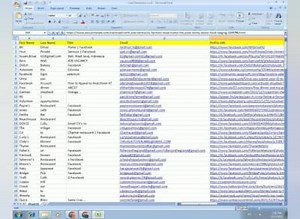Excel data entry, PDF to excel, data analysis and web research