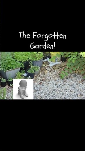 The Forgotten Garden! #jeffreybutton #rodents #garden