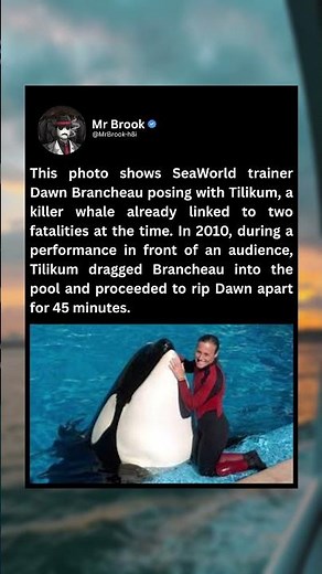 This photo shows SeaWorld trainer Dawn Brancheau posing with Tilikum, a