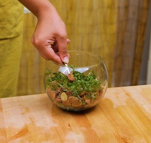 102K views · 242 reactions | Gardening Made Easy: Tips You’ll Actually Use! | 5-Minute Crafts Play | Facebook