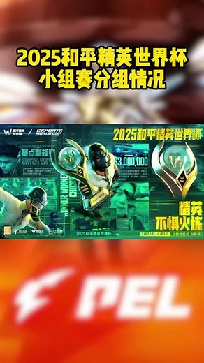 2025和平精英世界杯小组赛分组情况 #2025和平精英世界杯赛制 #2025PEL夏季赛 #TT #WBG