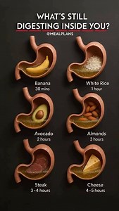 47K views · 101 reactions | What’s still digesting inside of you! follow @mealplans for more! #meal #mealplans #fitness #wellnesstips #cleaneating #guthealth #healthychoices #wellnessjourney | MealPlans | Facebook