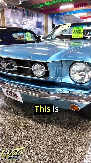 Shelby Shows You Your Dream Car - 1965 Ford Mustang GT (V21852)