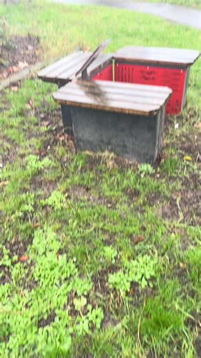 Découvrez la musique kabyle de Matoub