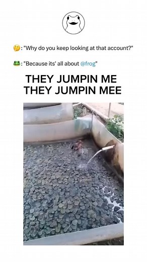 987K views · 6.4K reactions | Follow @frog | Frog Fans | Facebook