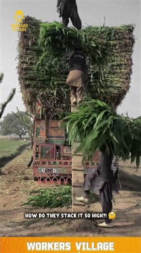 SMART WAY TO LOAD MASSIVE FODDER ON A FARM TRUCK! 🌿