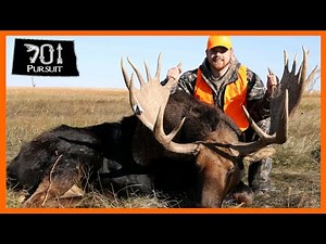 One Day. One North Dakota Moose. Once In A Lifetime.