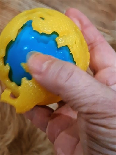 Boomer the destructor doodle