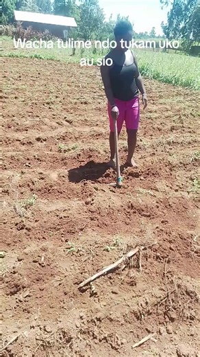 mish k (@mishksikuku)’s videos with original sound - Aqueeno Chogo