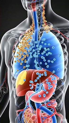 🍊 What Really Happens Inside Your Body When You Drink Juice? 😱