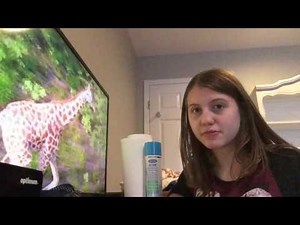 Let's Watch Baby Einstein: Wild Animal Safari Part 4
