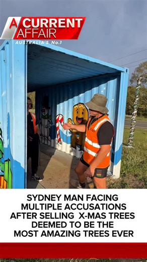 Sydney man is facing multiple accusations of selling Christmas trees deemed TOO GOOD. Customers claim they may be the freshest in Sydney… and some even say “best tree we’ve ever had” #luddenhamchristmastreefarm #luddenham #christmastree | Luddenham Christmas Tree Farm
