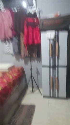 walk trough (dont know how to spell) the wall???????