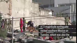 7.1 magnitude Earthquake hits Mexico, killing more than 200