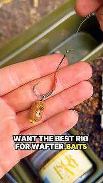 Best Wafter Carp Rig? 🥇And It’s Already Tied! 🙌🎣 #carpfishing #fishing #carprigs
