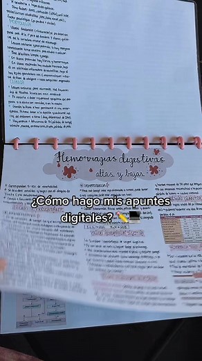 Cómo hacer apuntes digitales en squid: tutorial paso a paso