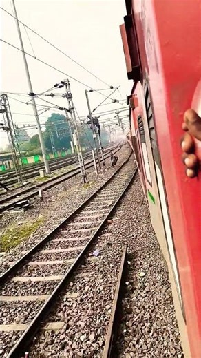 tere raste pe chale ya allah ya rahman 🏃🏃🏃🏃🏃🏃🤲🤲🤲🤲🤲🤲🤲🤲🤲🤲🤲🤲🤲🤲🤲🤲🤲🤲🤲🤲 #automobile