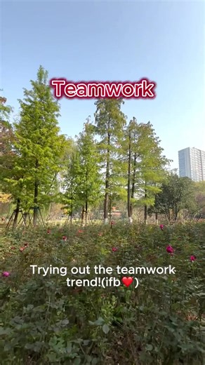 The Importance of Teamwork in Achieving Goals