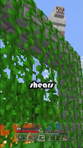 🪜 Minecraft Vine Farming 🌿