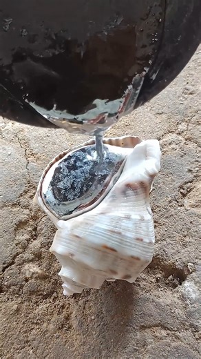 Rosenthal Snails on Reels