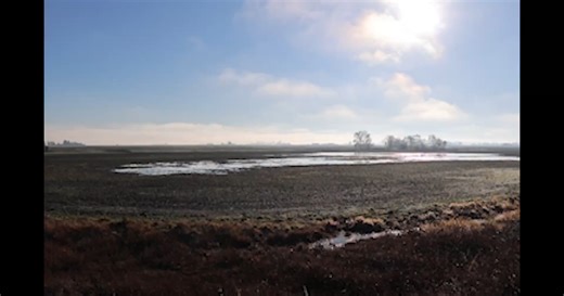 VIDEO: 270 acres of farmland protected in 2025