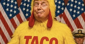 Brasileiros zoam Donald Trump com o memes de 'TACO'; saiba o que significa a expressão