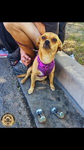 Glendale Police Department - Arizona on Reels