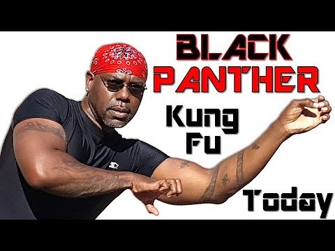 Concepts of Fighting Kung Fu | How I'd Use Black Panther Kung Fu Today - EXPLAINED