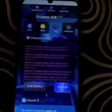 Ethereum founder education