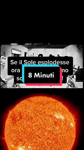 Creepy Curiosity: 8 Miniti