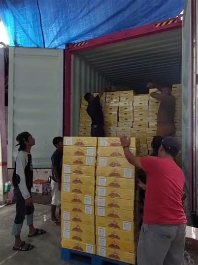 Melihat proses bongkar muat kontainer di gudang Sanfu#cold #coldstorage #surabaya #industri #jawatimur #indonesia #jawa #sidoarjo #gresik24jam #industrial #words #dunia #storage