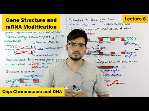 Gene Structure & Function | Post Transcriptional modification of mRNA | Lecture 8